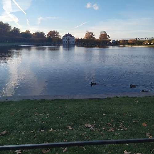 Photo #12503416