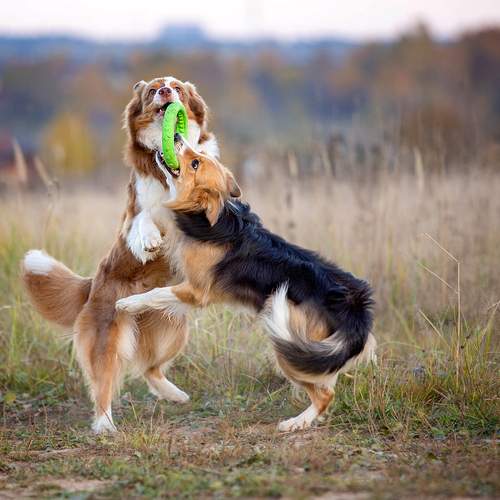 Photo #12503423