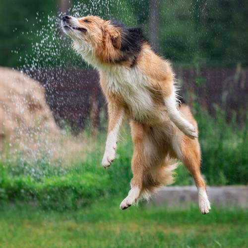 Photo #12503424