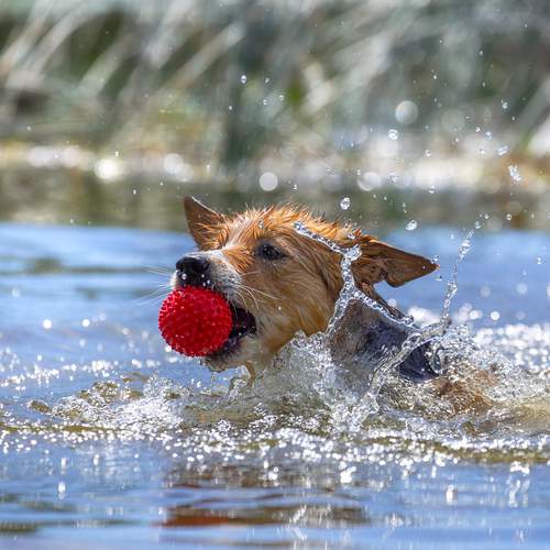 Photo #12503425