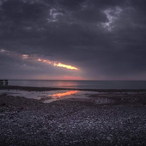 Photo #12503426