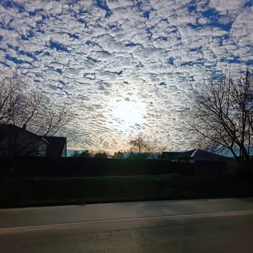 Photo #12503433