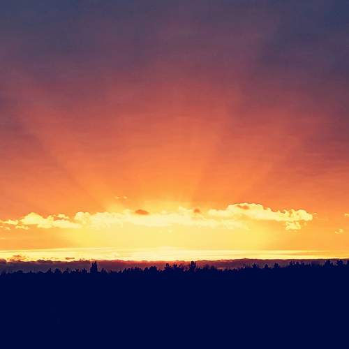 Photo #12503435