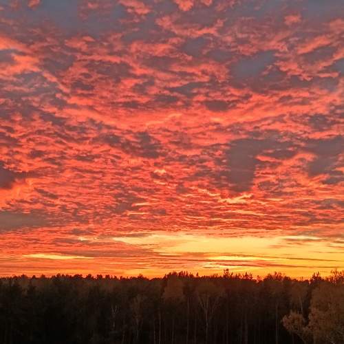 Photo #12503436