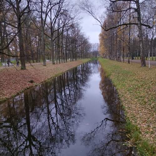Photo #12503440