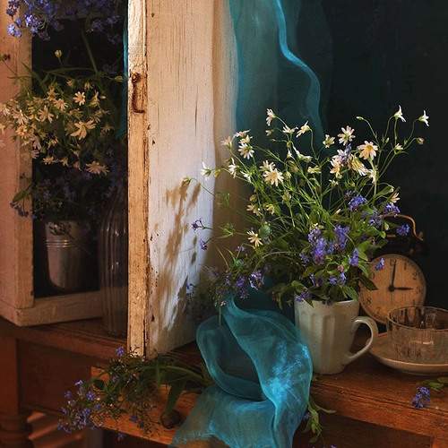 Photo #12503450