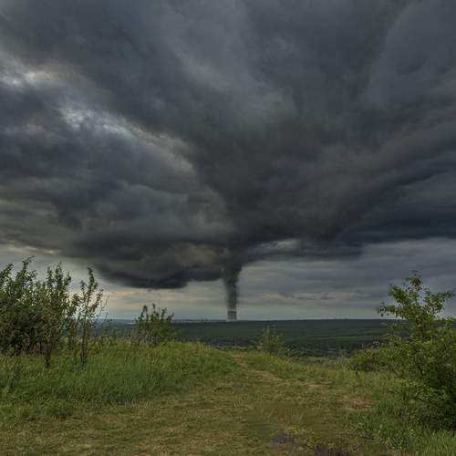 Photo #12503479