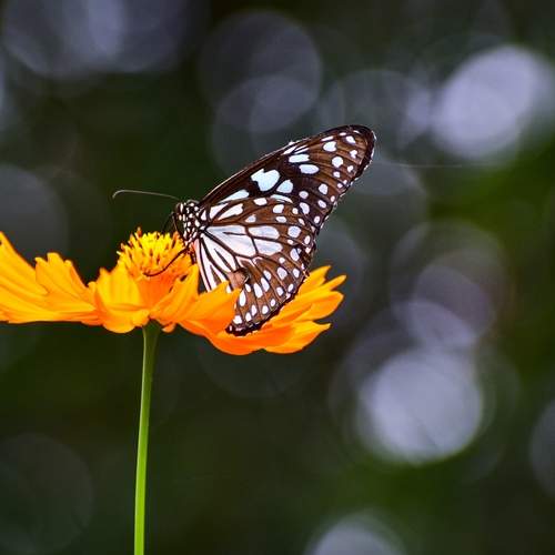 Photo #12503562