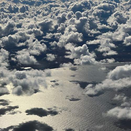 Photo #12503693