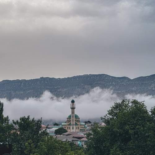 Photo #12503729
