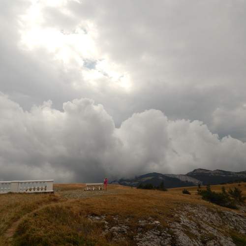 Photo #12503769