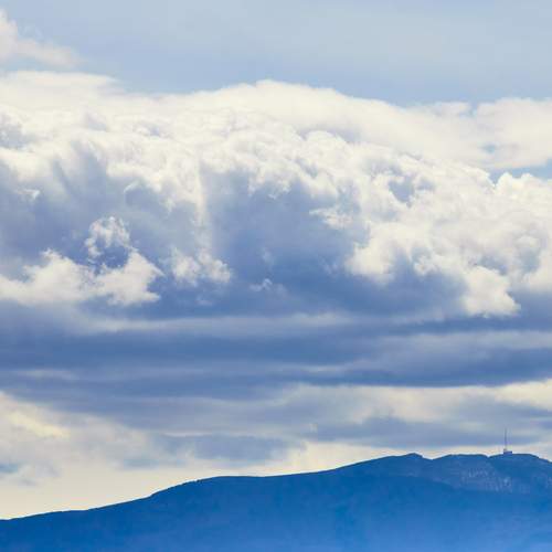 Photo #12503794