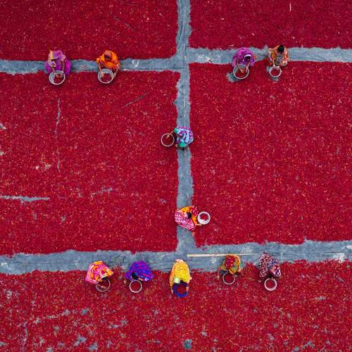Photo #12503805
