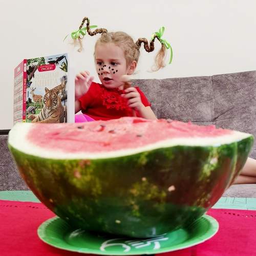 Photo #12503815