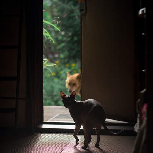 Photo #12503907