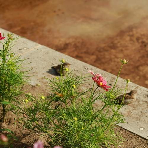 Photo #12503976