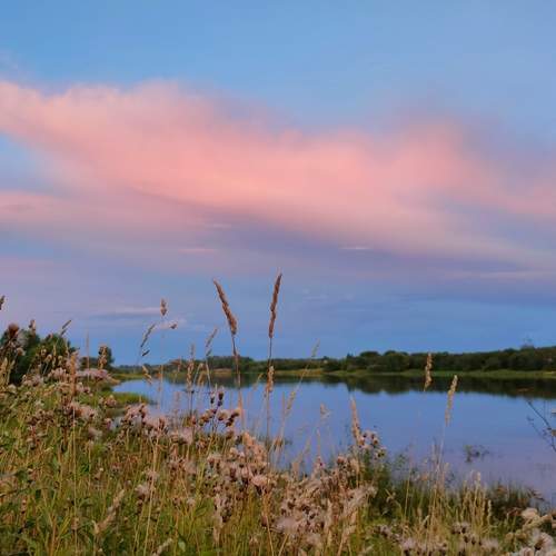 Photo #12504090