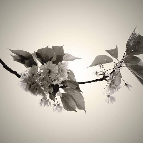 Photo #12504140
