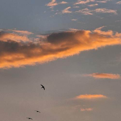 Photo #12504149