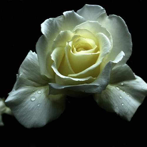 Photo #12504150