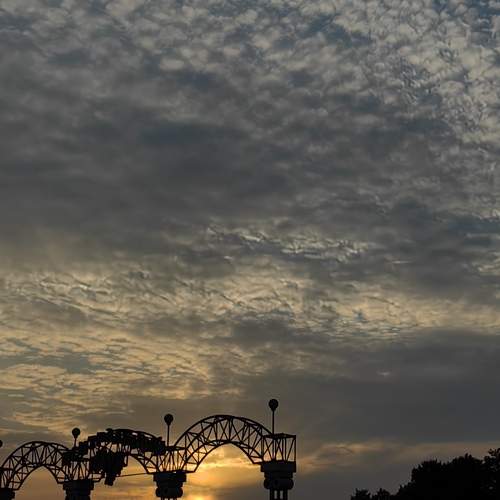 Photo #12504155