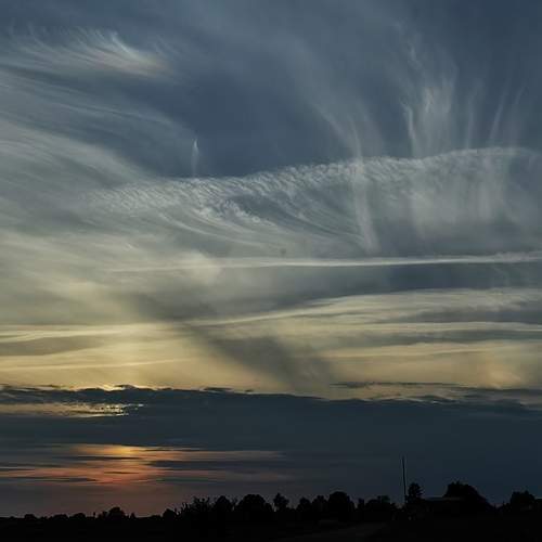 Photo #12504156