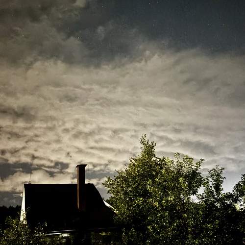 Photo #12504190