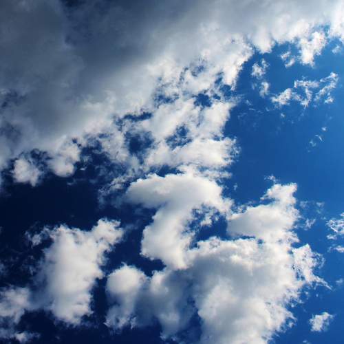 Photo #12504286