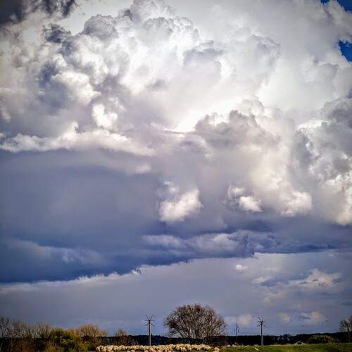 Photo #12504403