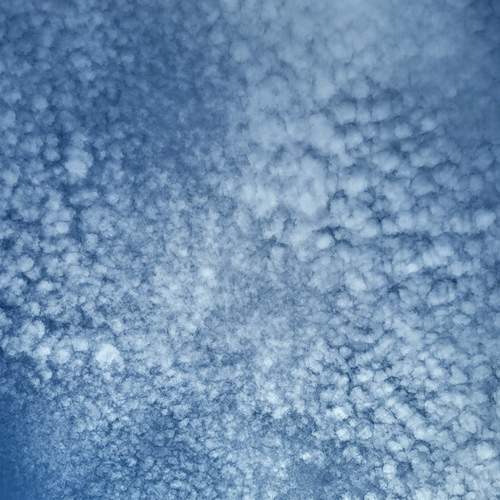 Photo #12504406
