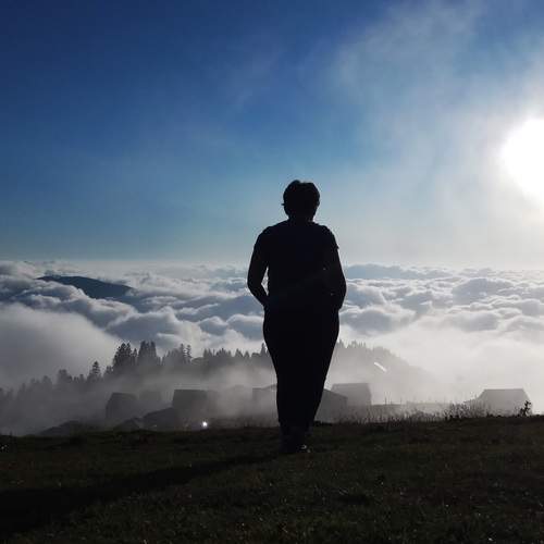Photo #12504440
