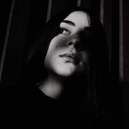 Photo #12504446