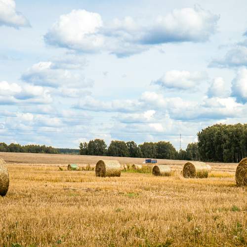 Photo #12504484