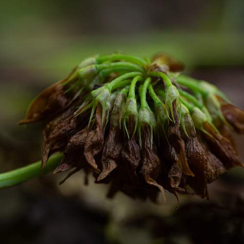 Photo #12504598