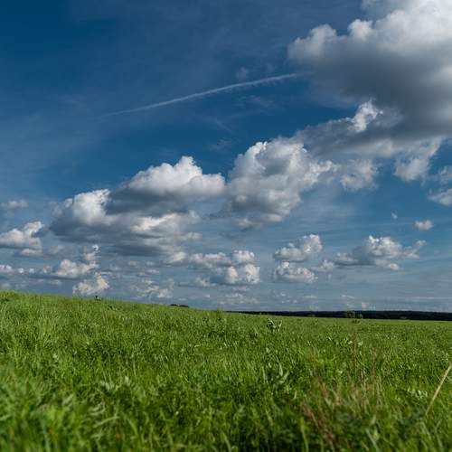 Photo #12504655