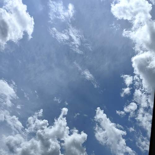 Photo #12504770