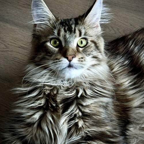 Photo #12504827