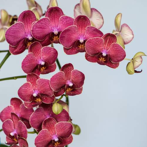 Photo #12504873