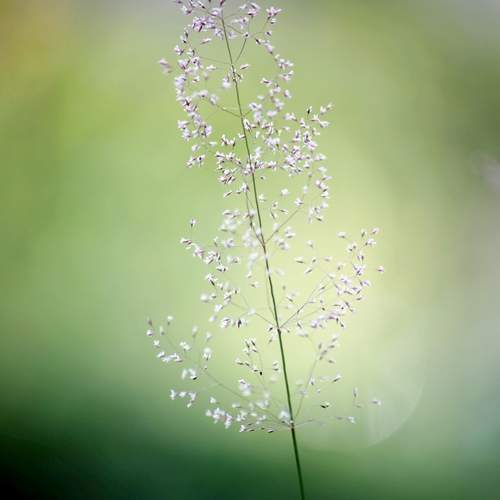 Photo #12505029