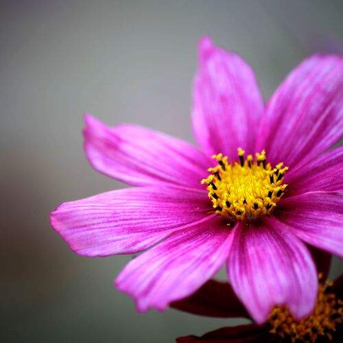 Photo #12505051