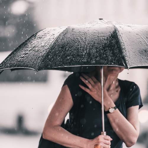 Photo #12505064