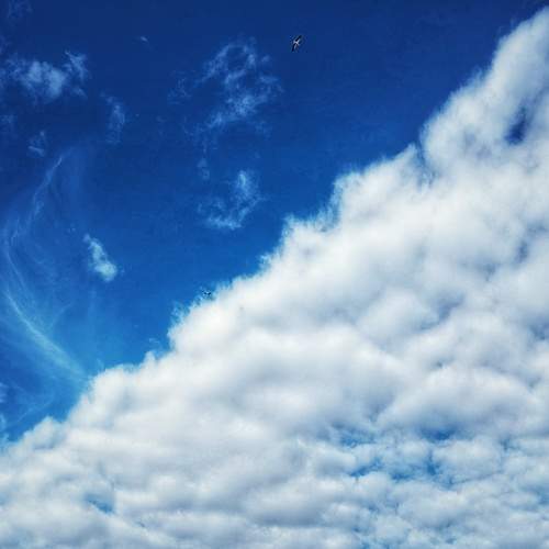 Photo #12505126
