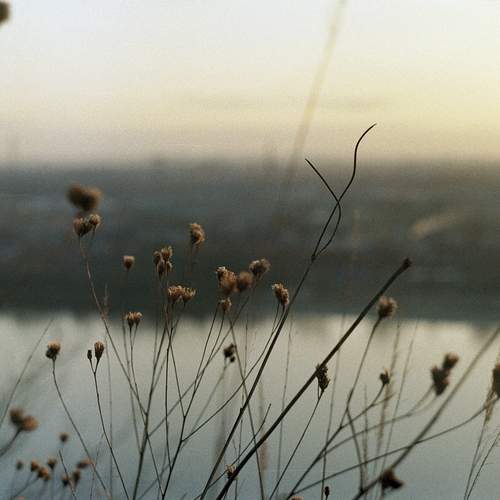 Photo #12505132