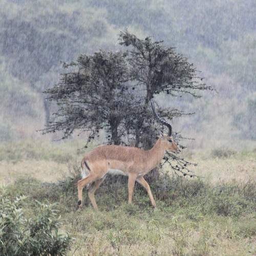 Photo #12505143
