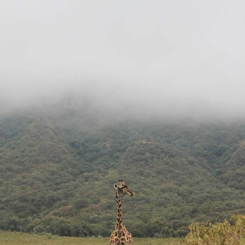 Photo #12505151