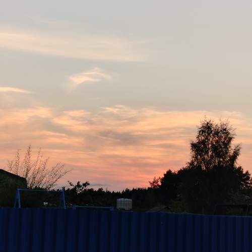 Photo #12505162