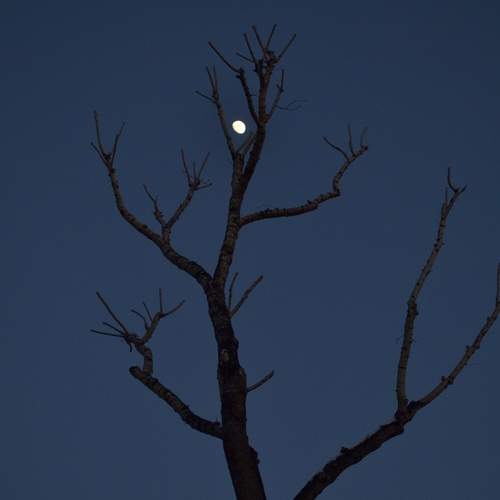 Photo #12505378