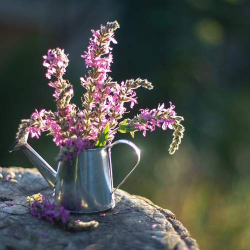 Photo #12505379