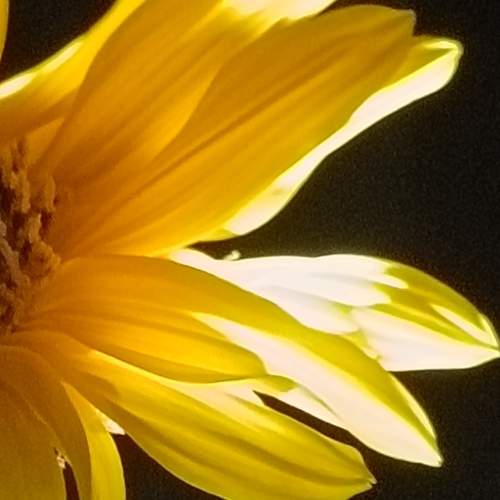 Photo #12505401