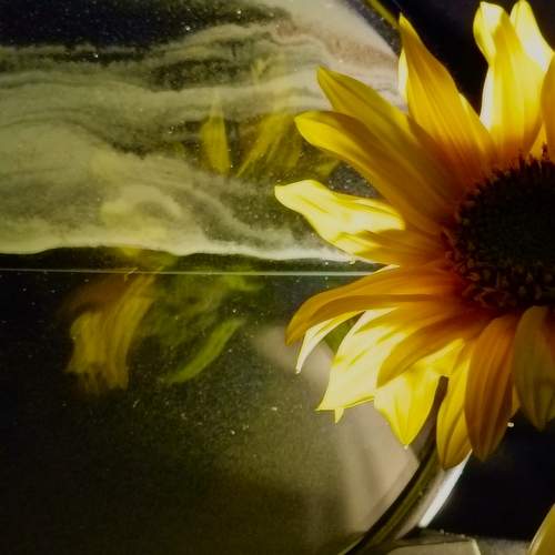 Photo #12505403